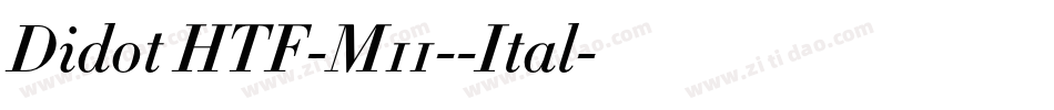 Didot HTF-M11--Ital字体转换
